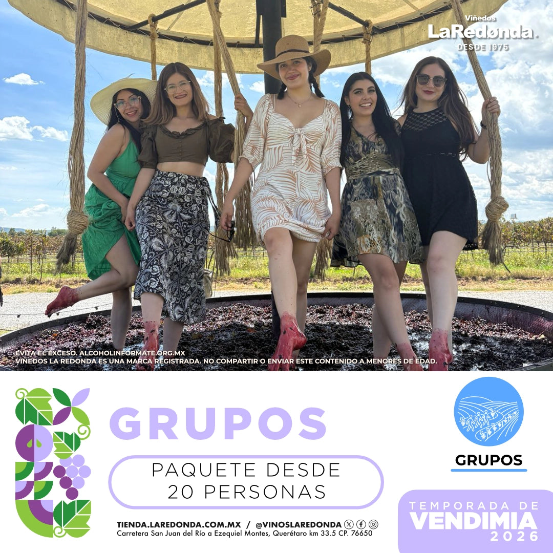 (Grupos) Vendimia 2026