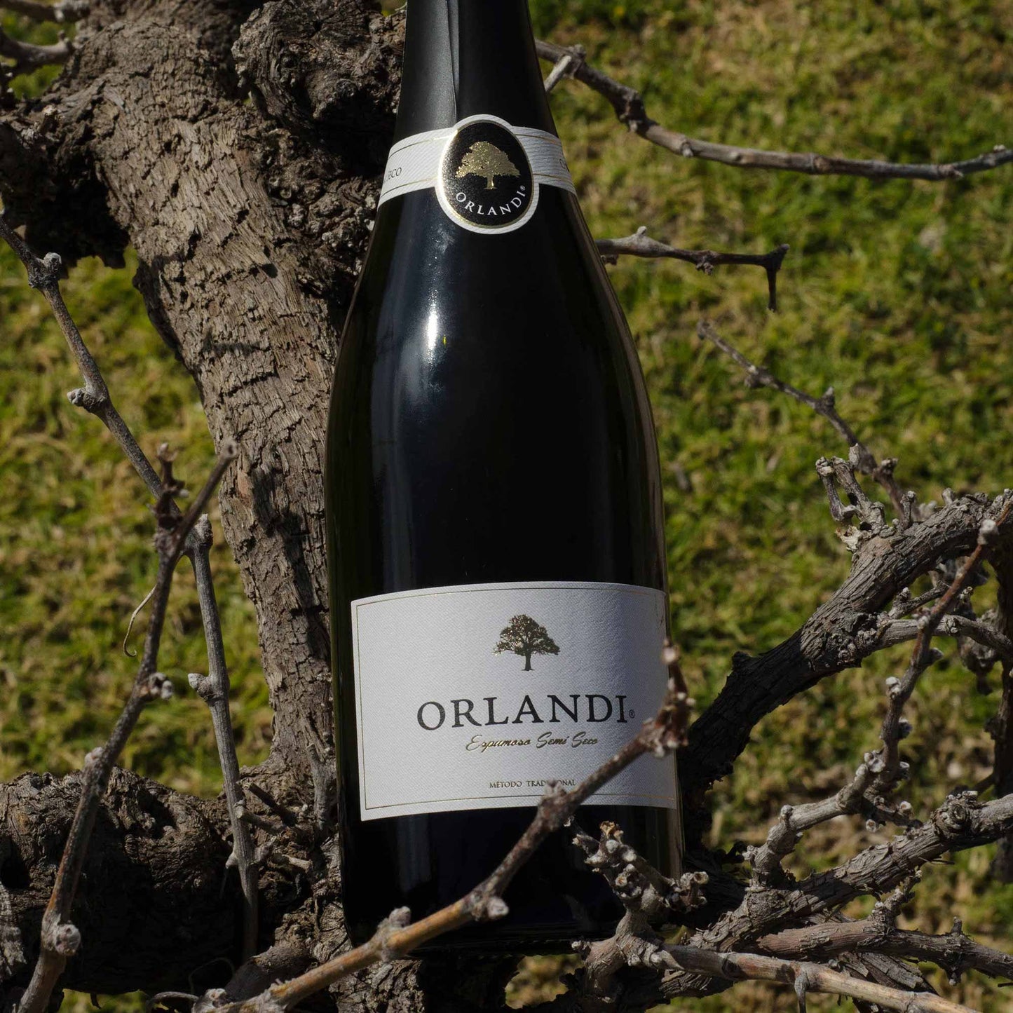 Orlandi Espumoso Blanco Semiseco